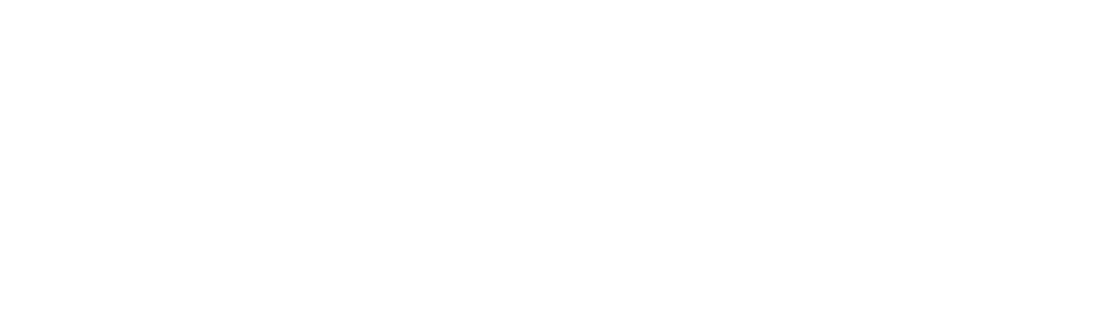 The Global Fund