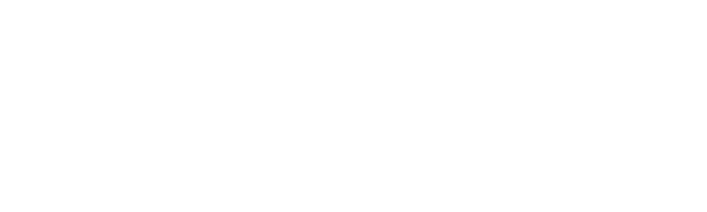 Patrick J Mcgovern Foundation